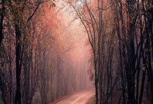 红遍亚洲的精彩足球盛宴亚冠比赛又来了