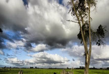 红遍亚洲的精彩足球盛宴亚冠比赛又来了