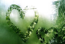 红遍亚洲的精彩足球盛宴亚冠比赛又来了